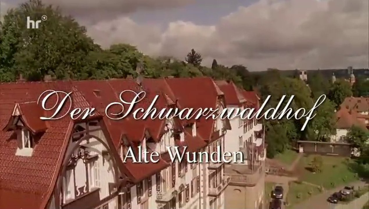 Der Schwarzwaldhof -03- Alte Wunden