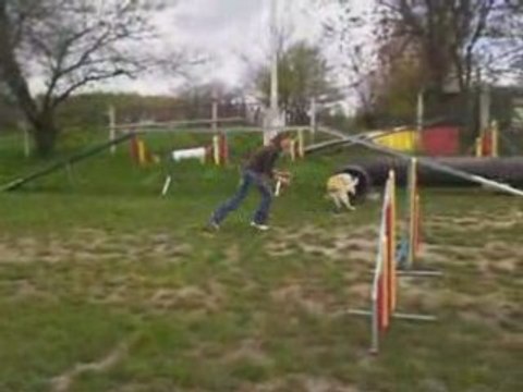 Agility (avril 2008)