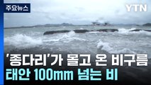 태풍 '종다리' 몰고 온 비구름...태안 100mm 넘는 비 / YTN