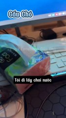 [Viet Sub] Anh Thợ Sửa Mạng May Mắn - Tập 2 | Gấu Chó 🚀