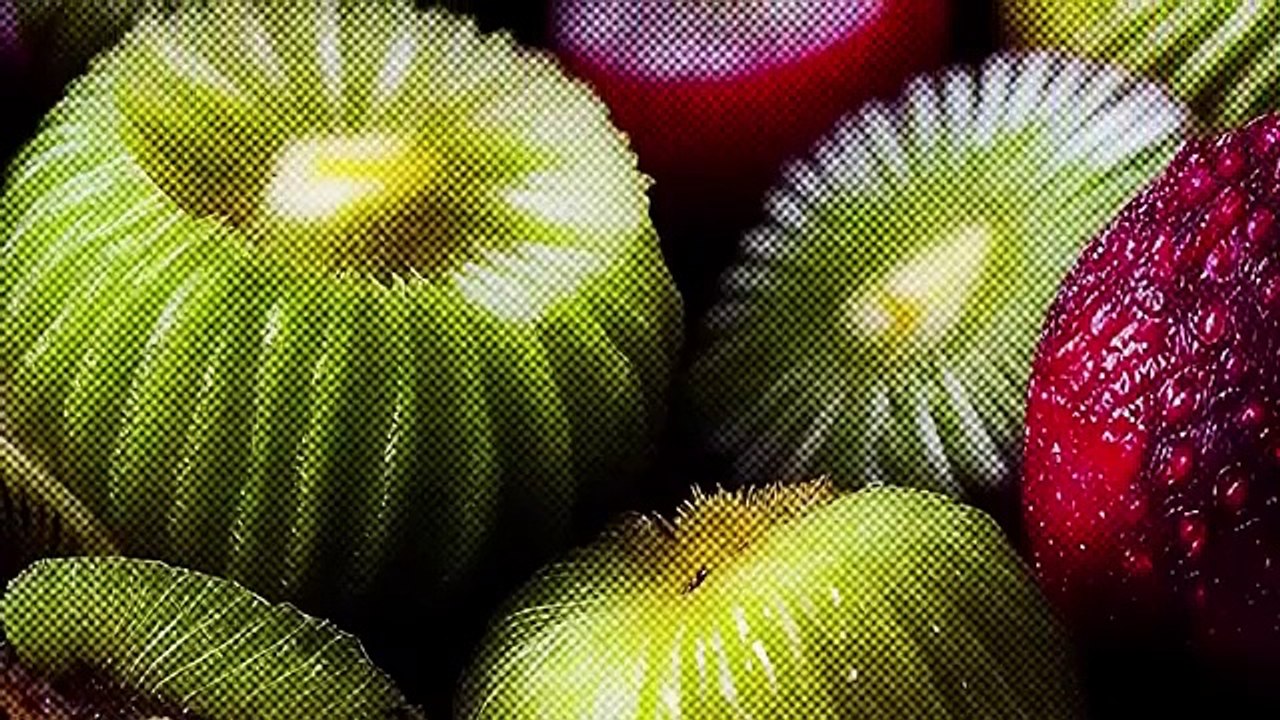 PROJECT SERPO PELICULA DOCUMENTALES EXTRATERRESTRES EN ESPAÑOL LATINO HD