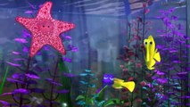 Regarder Le Monde de Nemo - Film Cmplet En Francais - Meilleurs Moments prt 12