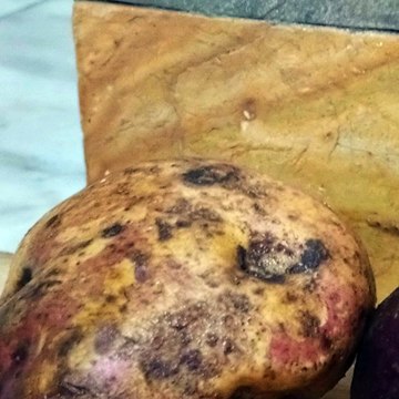 -ANDRÉS DE JESÚS VÉLEZ FRANCO- INNOVACIONES TECNOLÓGICAS EN EL SECTOR EDUCATIVO 2024 (PARTE 1) (@AndresdeJesus90)