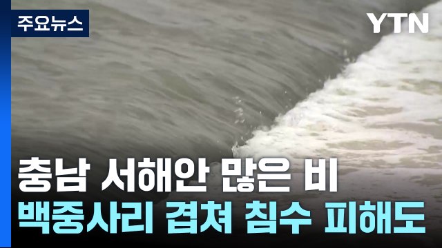 밤사이 충남 서해안 많은 비...백중사리 겹치며 침수 피해도 / YTN