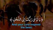 Quran Surah https://hey.link/WV9p7