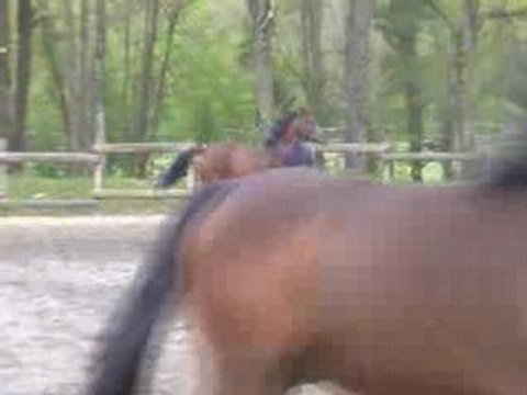 Suite du travail en longe