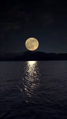 Embark on a challenging journey and succeed. #viral #shorts #nature