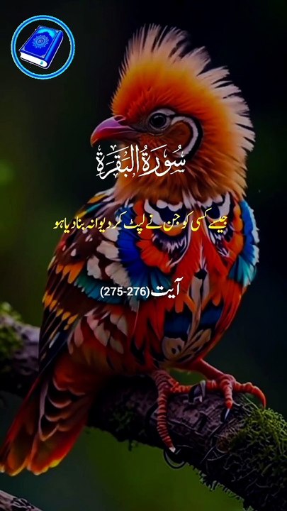 Surah Al Baqarah verses 275-276 Urdu tarjama Short video _shorts _shortvideo _youtubeshort _quran(720P_HD)