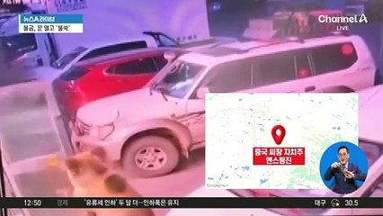 눈 떠보니 ‘어슬렁’…문 열고 호텔 들어온 불곰