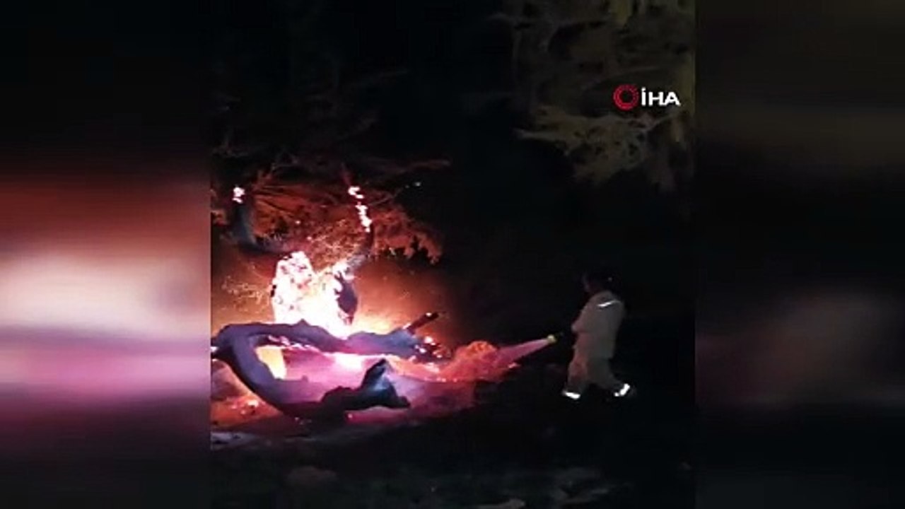 Mersin'de orman yangını