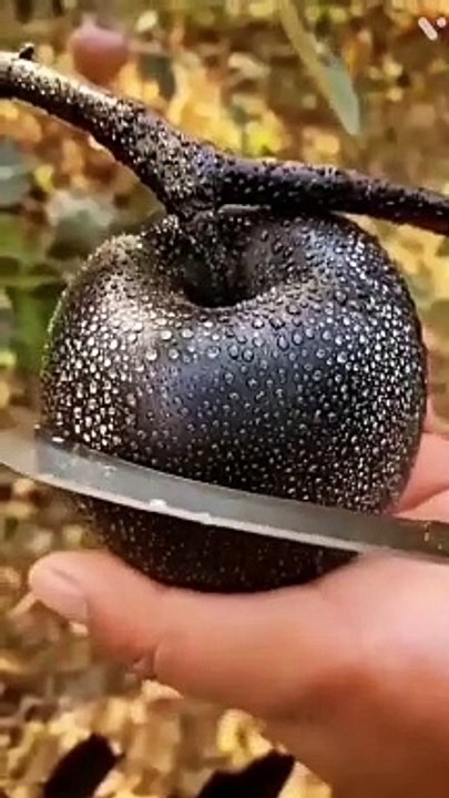 Unveiling the Mystery: The Luscious Black Apple – Nature's Darkest Delight! ✨