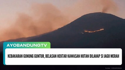Kebakaran Gunung Guntur, Belasan Hektar Kawasan Hutan Dilahap Si Jago Merah