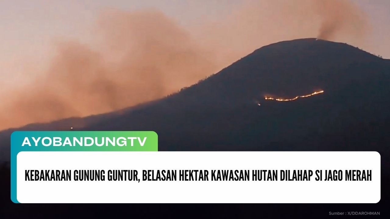 Kebakaran Gunung Guntur, Belasan Hektar Kawasan Hutan Dilahap Si Jago Merah
