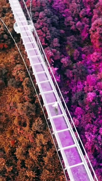 #nature