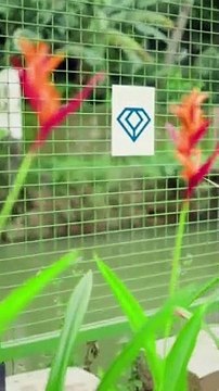 New Lanuch ( 15th Project) of Indraneelam Builders at Thrissur- Indraneelam Infinia