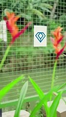 New Lanuch ( 15th Project) of Indraneelam Builders at Thrissur- Indraneelam Infinia