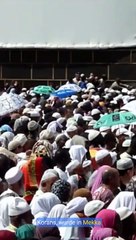 Die Geschichte der Surah Ash-Shu'ara