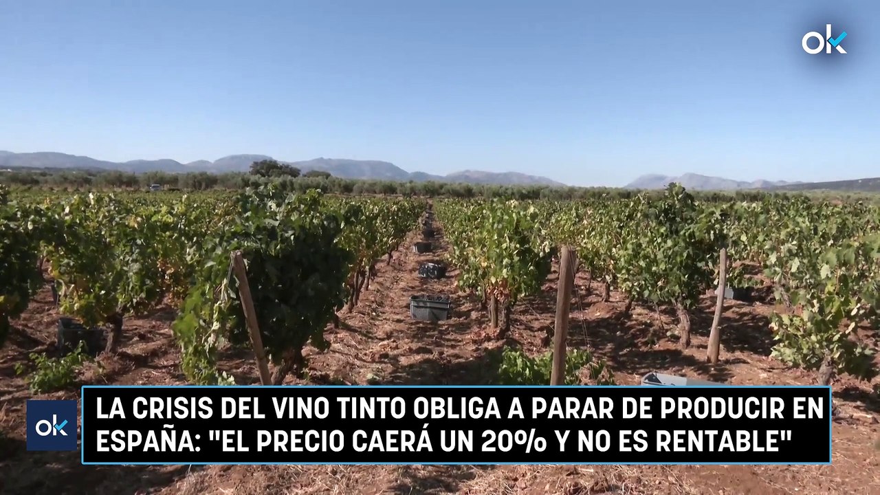 La crisis del vino tinto obliga a parar de producir en España: "El precio caerá un 20% y no es rentable"