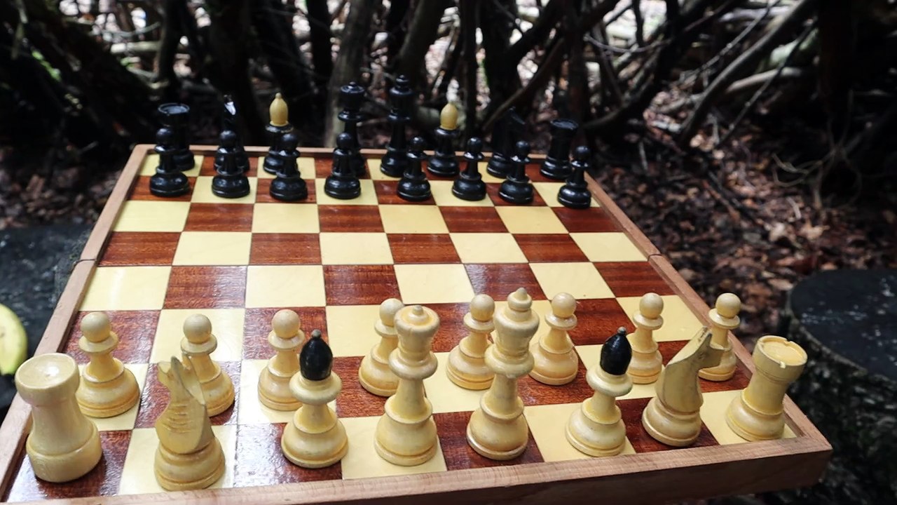 Akiba Rubinstein vs Oldrich Duras (Vienna 1908)