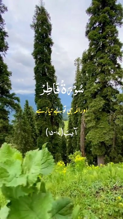 surah fatar urdu translation ayat 15 to 17#alquran#islamic video#islam