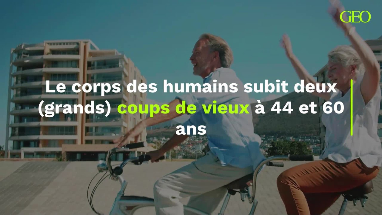 Le corps des humains subit deux (grands) coups de vieux à 44 et 60 ans