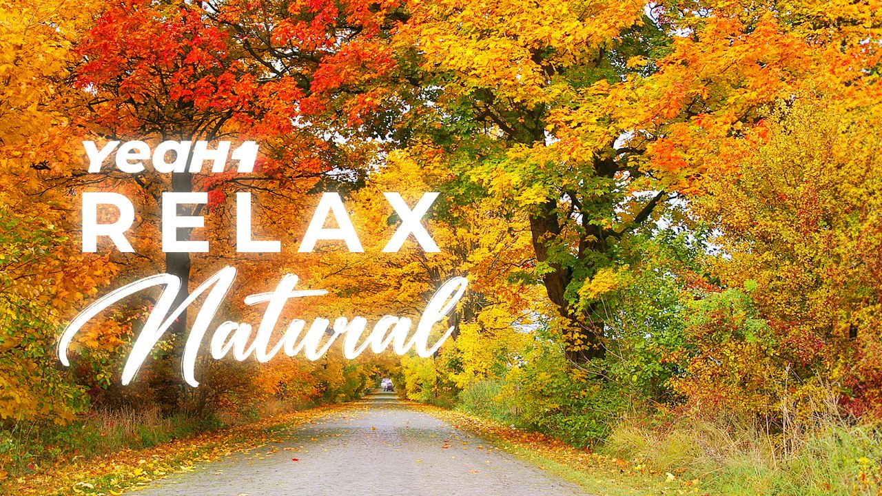 Calm And Peaceful Melodies For Stress Relief | YeaH1 Relax Natural
