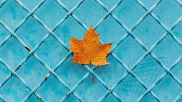 Sükût-ı Hayal | Enstrümantal Duygusal Fon Müziği ♫