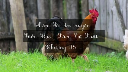 C33-C40 Biển Bạc - Lâm Tử Luật