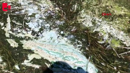 Eğirdir Gölü'nde müsilaj da başladı