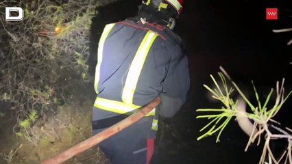 Vecinos desalojados y confinados en Rivas por un incendio forestal