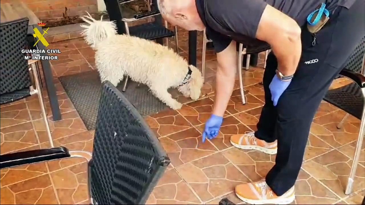 Hallan un cuchillo con restos humanos cerca de la casa del detenido