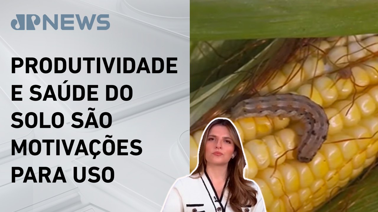 Kellen Severo: Agro planeja manter ou elevar gastos com insumos biológicos