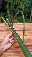 Bamboo toys hand made craft