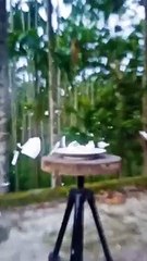 Bamboo toys hand made craft