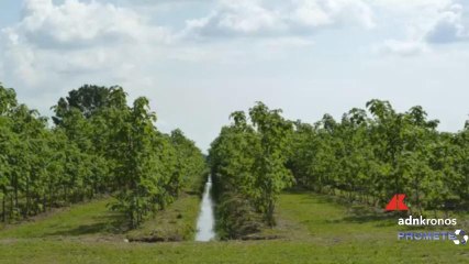Sostenibilità, al Meeting di Rimini l'esperienza di Coca-Cola HBC Italia
