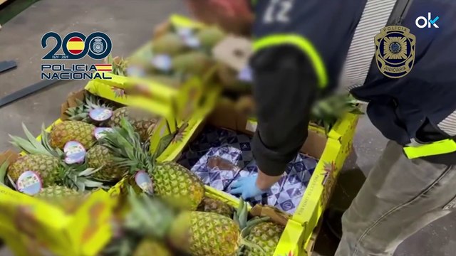 Desarticulan una organización criminal dedicada a introducir cocaína en cajas con piñas
