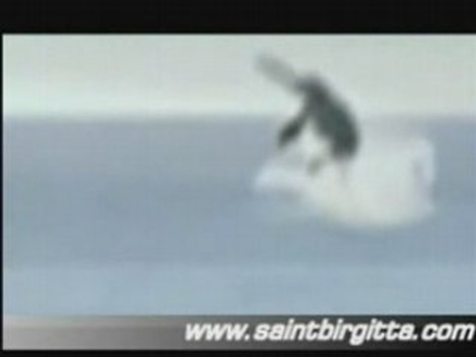 Creature geante Aquatique non repertoriée??
