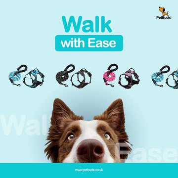 Adjustable No Pull Dog Harness Padded Protection With Free 5ft Heavy Duty Dog Leash Best Dog Harness UK