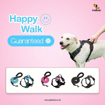 Adjustable No Pull Dog Harness Padded Protection With Free 5ft Heavy Duty Dog Leash Best Dog Harness UK