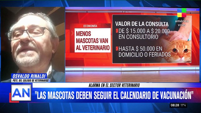 Crisis económica afecta la vacunación de mascotas en Buenos Aires