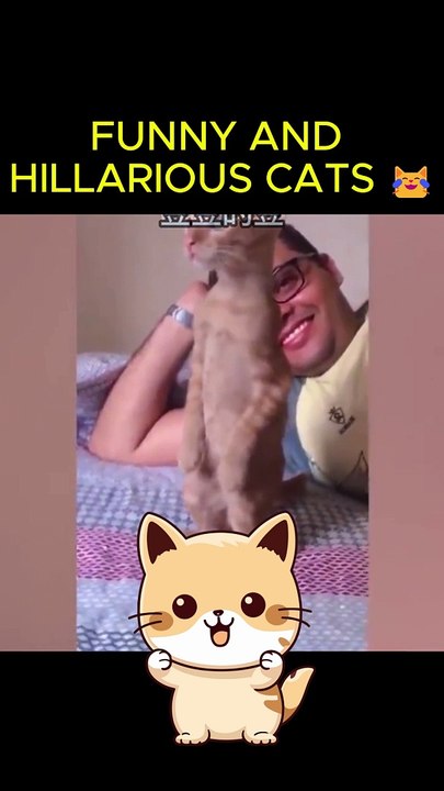 funny animals
