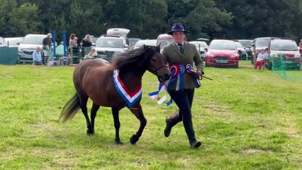 Charlotte Jordan with the Supreme Horse Champion at Chagford Show followed by the Reserve Supreme, video Alan Quick IMG_0815