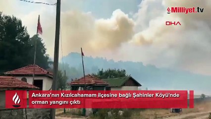 Ankara Kızılcahamam'da orman yangını