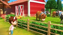 Old MacDonald Had a Farm | Newborn Baby Songs & Nursery Rhymes