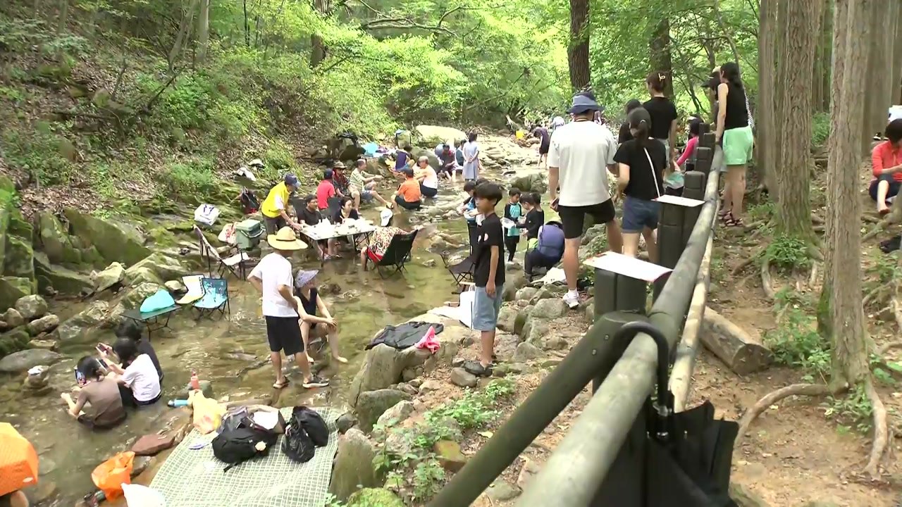 [날씨] 푹푹 찌는 주말...시원한 도심 속 계곡 피서객 절정 / YTN