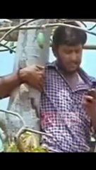 Jio and airtel comedy video in Tamil