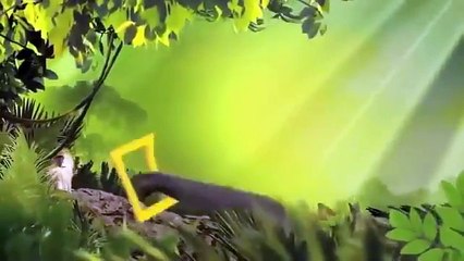 Life of Elephants [National Geographic Documentary HD 2017]