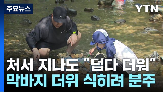 '모기 입도 비뚤어진다'는 처서 지나도 덥다 더워 / YTN