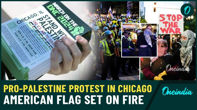 Violence Erupts in Chicago Outside Democrats' Rally: Pro-Palestinian Protesters Clash with Police!