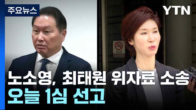 노소영, 최태원 동거인 상대 위자료 소송...오늘 1심 선고 / YTN
